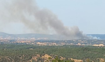 Çanakkale’de bu sefer tarihi yarımada yanıyor