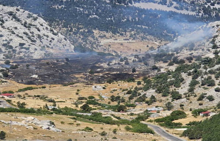 Kırsal alan yangınında 1 hektar zarar gördü