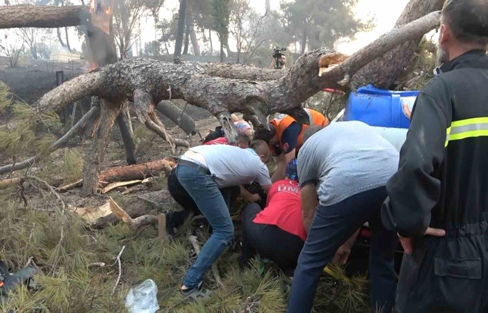 Orman yangına müdahale ederken üzerine ağaç devrildi