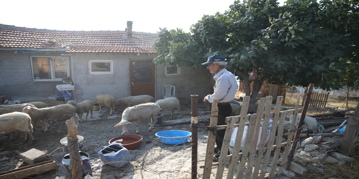 Yangında sabaha kadar koyunlarının başından ayrılmadı