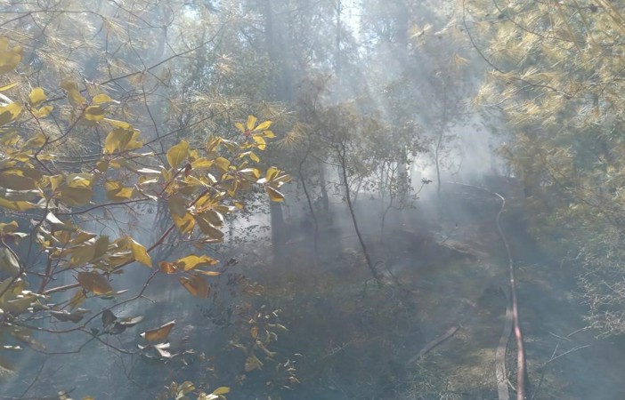 Hatay’da orman yangını büyümeden söndürüldü