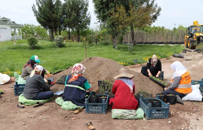 Kayapınar Belediyesi 1 milyon 500 bin bitki üretmeyi hedefliyor