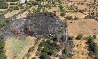 Örtü yangını ormana sıçramadan söndürüldü