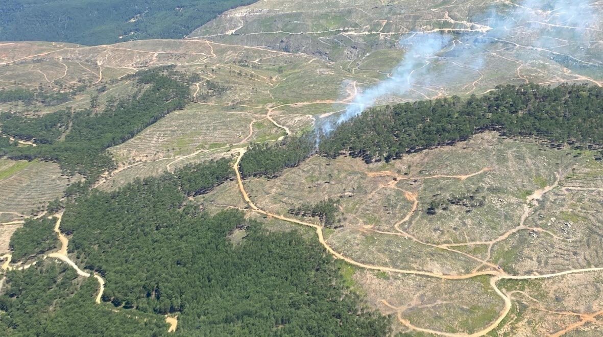 Muğla'da çıkan orman yangınına müdahale ediliyor