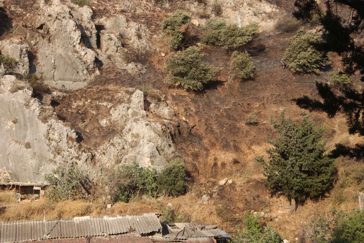 Hatay'da makilik alanda çıkan yangın kontrol altına alındı