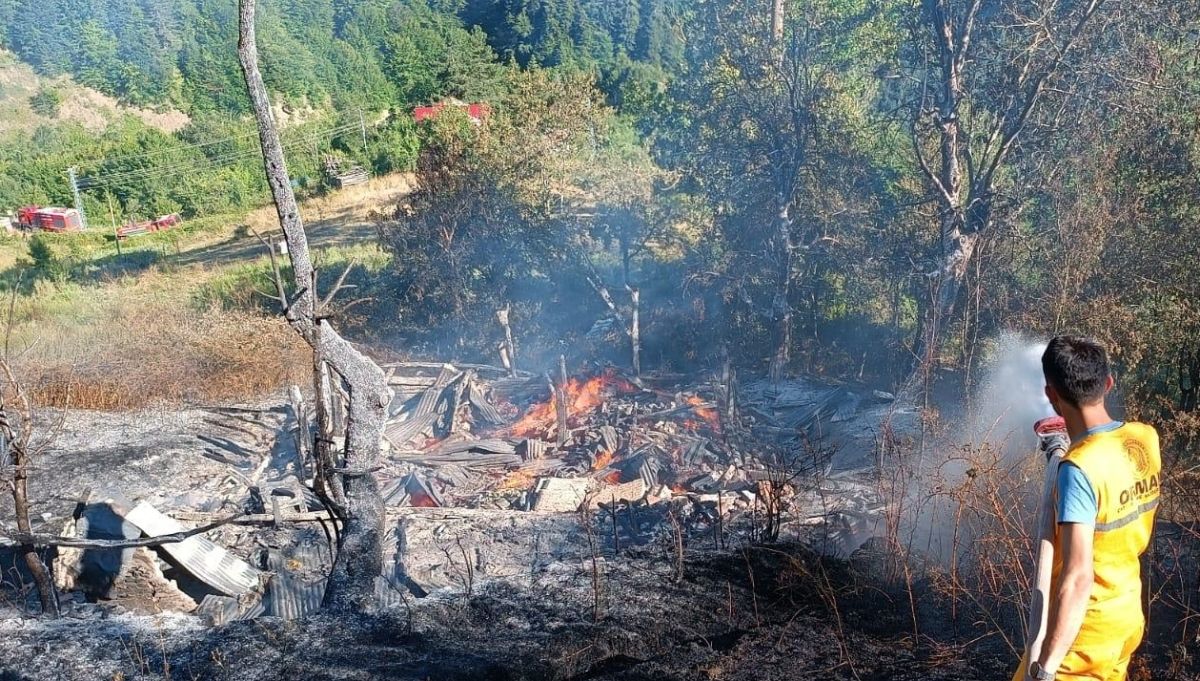 Kastamonu'da yangın çıkan küle döndü