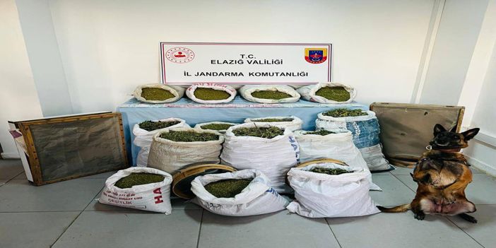 Elazığ ve Diyarbakır'da 241 kilogram esrar, 1230 kök Hint keneviri ele geçirildi