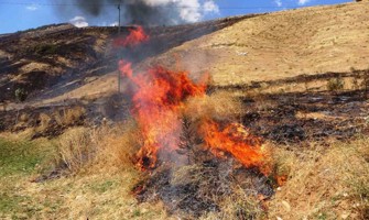 Bitlis’te 12 hektarlık alanda örtü yangını çıktı