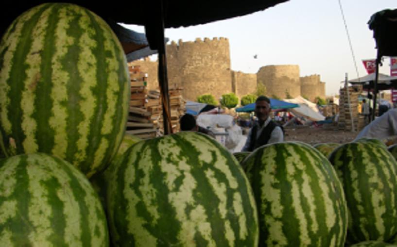 Diyarbakır gün geçtikçe gençleşiyor