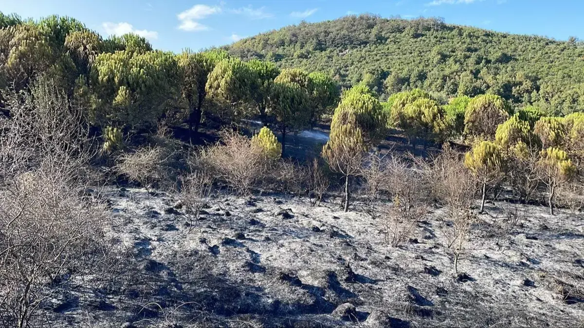 Sancaktepe'de otluk alanda çıkan yangın söndürüldü