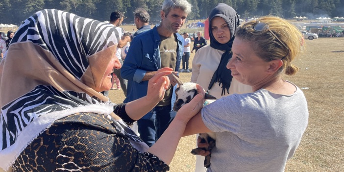 Annesinin sahiplenmediği oğlağı yanından ayırmıyor