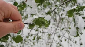 Meteorolojiden zirai don uyarısı