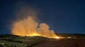 Gölbaşı'nda ormanlık alanda çıkan yangın korkuttu