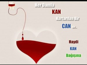 Kan değil can bağı 