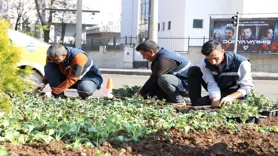 Diyarbakır 1 milyon çiçekle renkleniyor