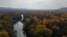 VİDEO - Hevsel Bahçeleri'nin renklerine havadan bakış