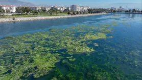 Bakanlıktan 'İzmir için nefes' projesi