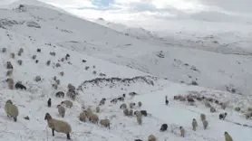 Faraşin Yaylası'nda kar kalınlığı 10 santimetreye ulaştı