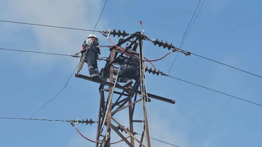 Kış öncesi enerji nakil hatlarında bakım ve onarım çalışması