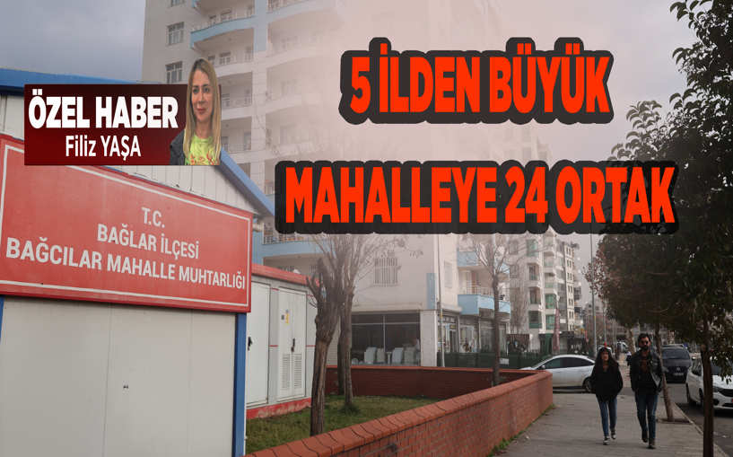 5 ilden büyük mahalleyi yönetecek adayların sayısı pes dedirtti