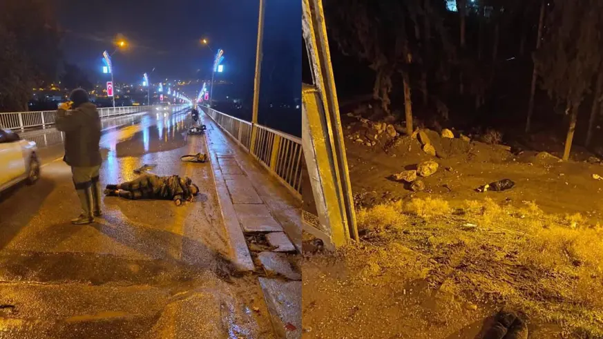 Vicdansız sürücü çarptığı kadın ve adamı ölüme terk etti