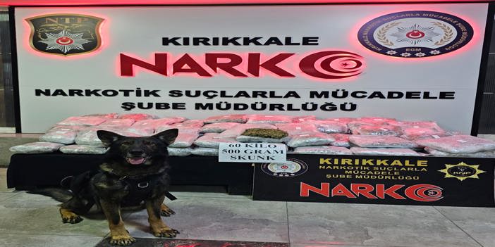 Kırıkkale'de tırın dorsesine gizlenmiş 60,5 kilogram skunk ele geçirildi