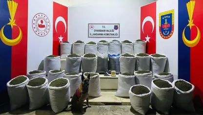 Diyarbakır’da 611 kilo esrar yakalandı