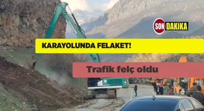 SON DAKİKA! Karayol'da heyelan 