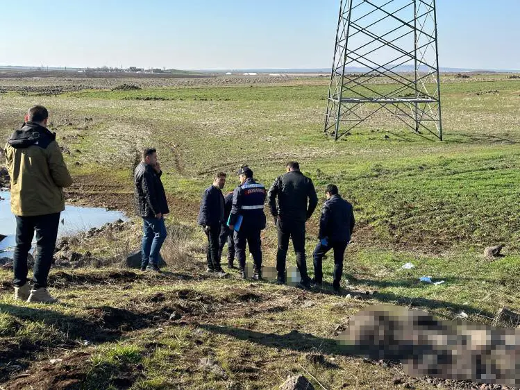 Diyarbakır bu dehşeti konuşuyor, görüntüler gelmeye devam ediyor(2)