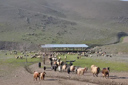 Çiftçi tarımdan uzaklaşıyor mu?