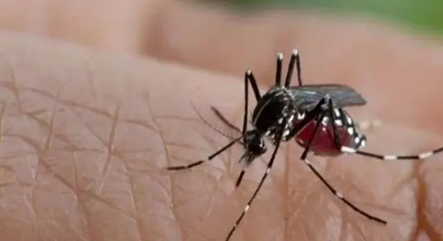 Yeni bir virüs kapıda! Peru'da tehlike çanları çalmaya başladı, acil durum ilan edildi