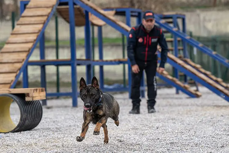 Burunları afetlere hazır