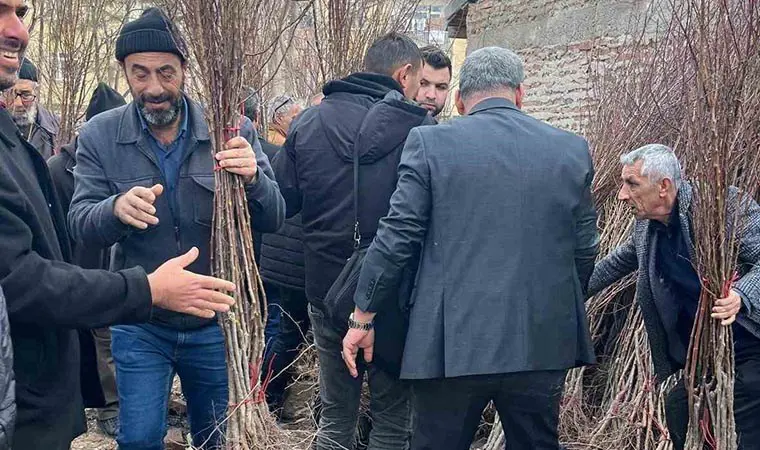 Muhtar adayı broşür yerine fidan dağıttı; o anlar sosyal medyada viral oldu