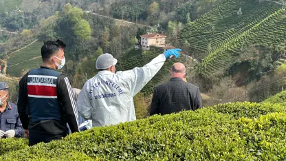 Yaş çay bahçesinde erkek cesedi bulundu