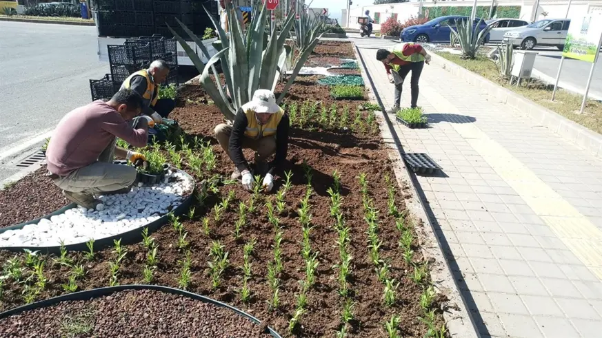 Diyarbakır Yolu çiçeklendiriliyor