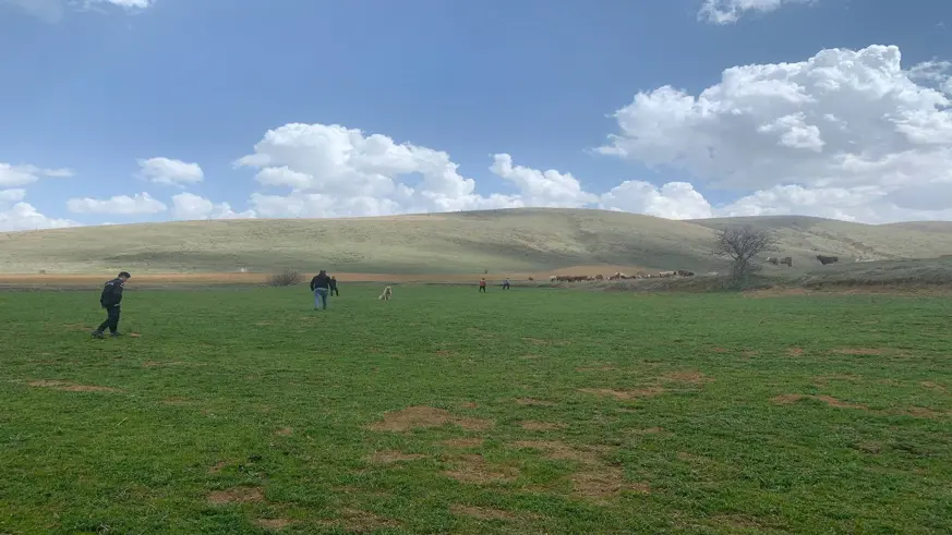 Çermik'te kayıp çobanın bulunması için çalışma başlatıldı