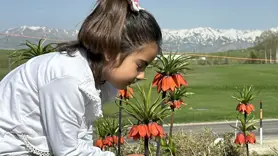 Hakkari doğa severleri kendine hayran bıraktı