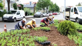 Diyarbakır Bağlar 'çiçek'leniyor