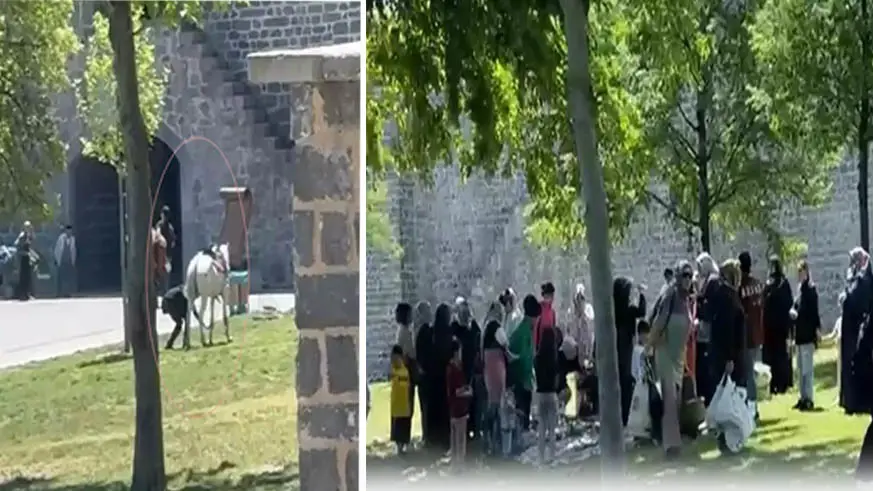 Öğrencilerin arasına 'at' daldı; 2 yaralı