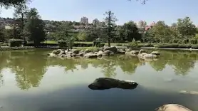 Şanlıurfa'da gölette boğulma tehlikesi atlatan 2 çocuktan biri öldü