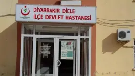 Diyarbakır'da sahipsiz köpeklerin saldırdığı 60 yaşındaki kadın yaralandı