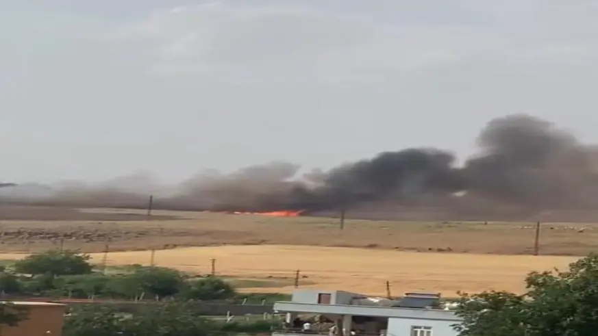 Diyarbakır’da 150 dönüm ekili buğday kül oldu