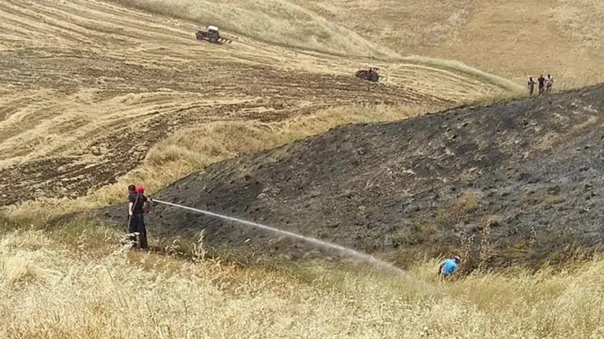 450 dönüm Buğday Kül oldu