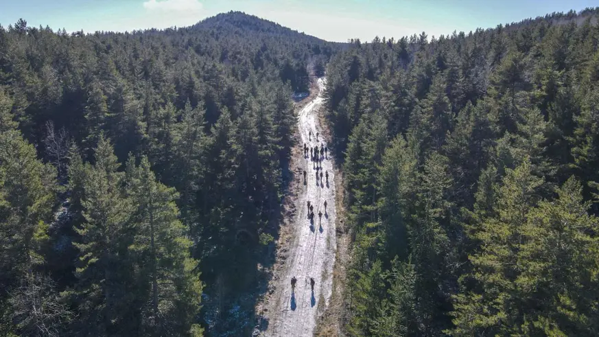 Ankara'da ormanlık alanlara giriş yasağı