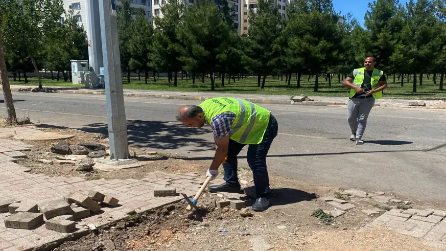 Gazeteciye uygulanan mobinge tepki!