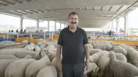 Diyarbakır’daki besiciler bu bayram umduğunu bulamadı