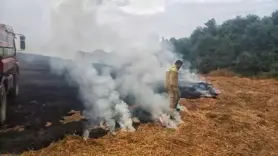 Silivri'de ormana sıçrayan anız yangını söndürüldü