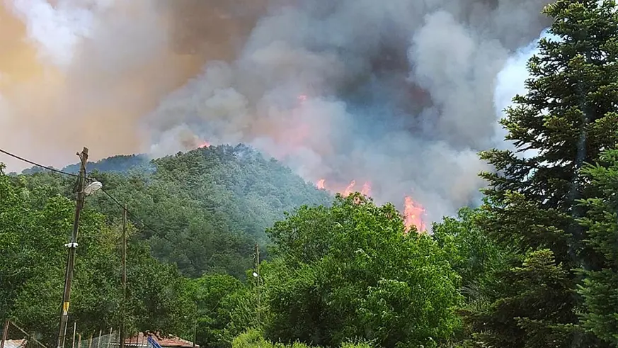 Kütahya'da orman yangını