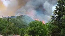 Kütahya'da orman yangını