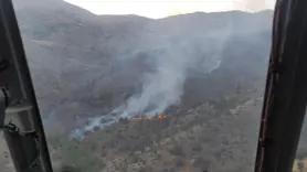 Adıyaman'daki örtü yangınında zarar büyük! Yangınlar kontrol altına alındı